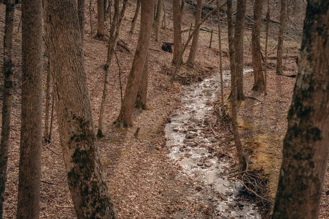 McMillan pic 8 | Image 8