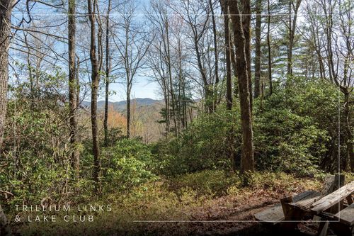 Lot 4 Trillium Ridge Rd, Cullowhee, NC, 28723 | Card Image