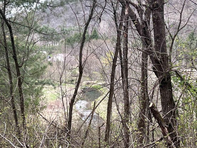 71 +/- Acres Scenic View Road, Home with 0 bedrooms, 0 bathrooms and null parking in Seneca WI | Image 30