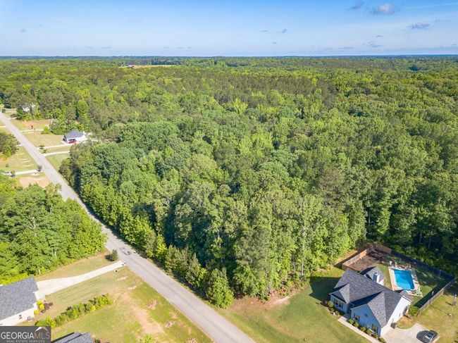LOT-131 - 0 Hunter Welch Pkwy, Home with 0 bedrooms, 0 bathrooms and null parking in Luthersville GA | Image 8
