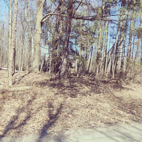 0 Schott Rd, Harbor Beach, MI, 48441 | Card Image