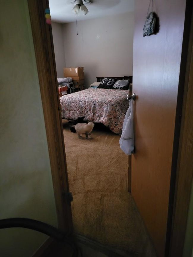 Master Bedroom | Image 7
