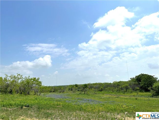 11 Tower Drive, Home with 0 bedrooms, 0 bathrooms and null parking in Moody TX | Image 22