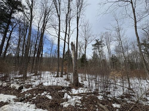 17 Chamberlain Dr, Salisbury, VT, 05769-3206 | Card Image