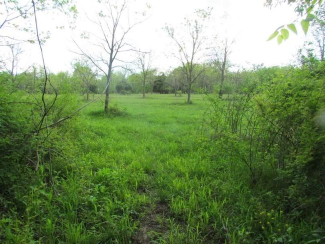 Tract 1 Renick Road, Home with 0 bedrooms, 0 bathrooms and null parking in Oak Grove MO | Image 28