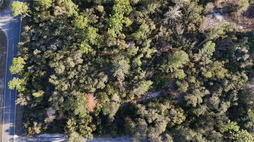 42475 Royal Trails Rd, EUSTIS, FL, 32736-8163 | Card Image