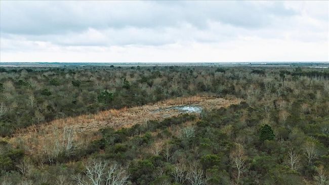 0000 Gulfway Dr, Home with 0 bedrooms, 0 bathrooms and null parking in Stowell TX | Image 26