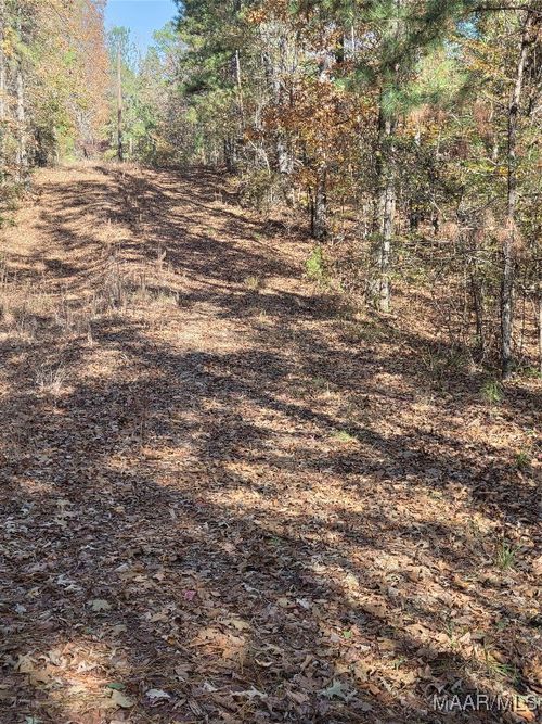 0 Parker Rd, Wetumpka, AL, 36092 | Card Image