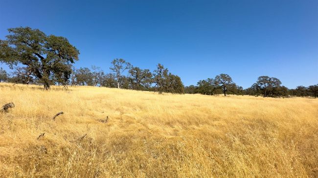 19227 Matthew Rd, Home with 0 bedrooms, 0 bathrooms and null parking in Grass Valley CA | Image 5