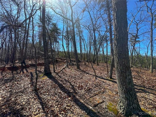 30.19 Acres (Off Of) Belvedere Dr, Home with 0 bedrooms, 0 bathrooms and null parking in Fieldale VA | Image 11