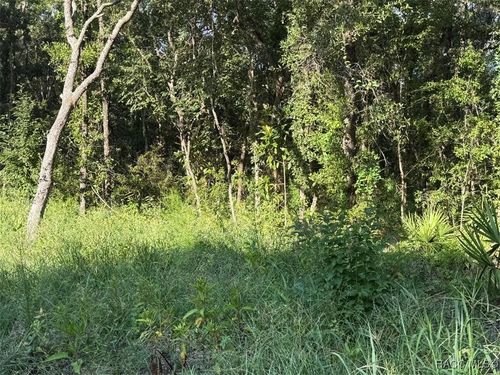 6612 W Grant St, Homosassa, FL, 34448-2546 | Card Image