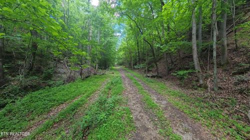 195 Sherwood Ln, Harriman, TN, 37748-7554 | Card Image