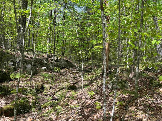 0 Snell Rd, Home with 0 bedrooms, 0 bathrooms and null parking in Chester VT | Image 13