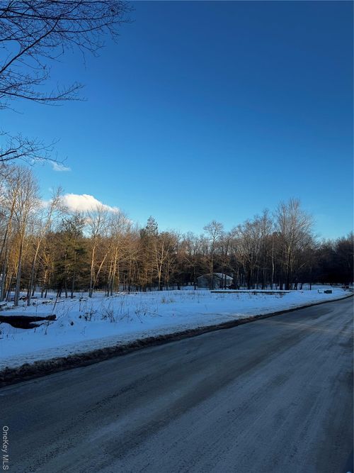 000 Drake Rd, Neversink, NY, 12765 | Card Image