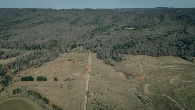 McMillan pic 1 | Image 15