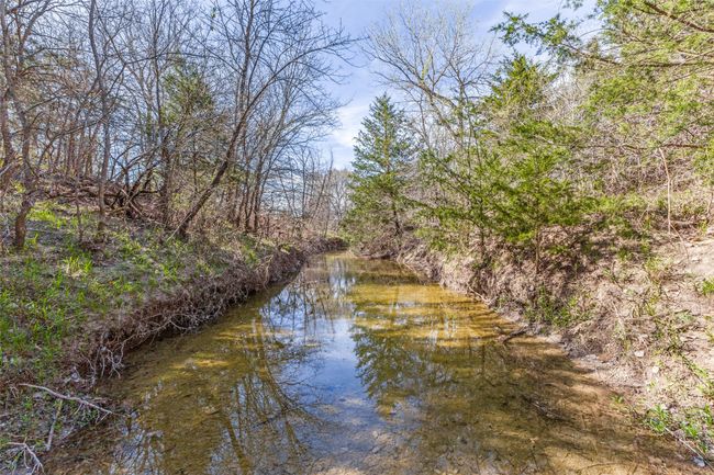 Creek | Image 10