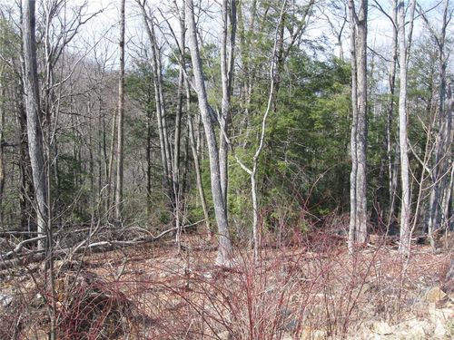 vr-33 Red Sky, Banner Elk, NC, 28604 | Card Image