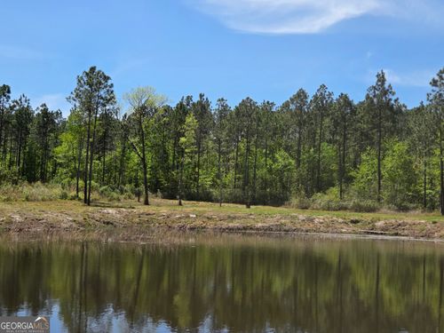 00 Serenity Rd, Vidalia, GA, 30474 | Card Image