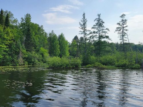 19308 Mamie Lake Rd, Watersmeet, MI, 49969 | Card Image