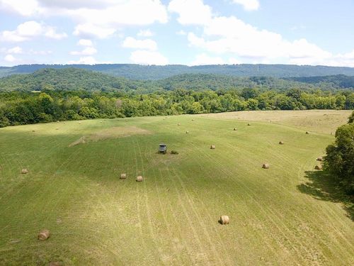 0 County Road 494, Bryant, AL, 35958 | Card Image