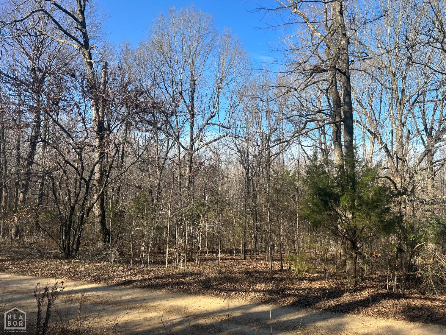 Land in Brookland 2