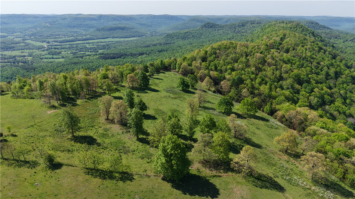 Land in Mount Judea