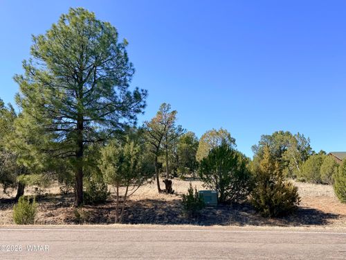 3344 Stone Bridge Trl, Heber, AZ, 85928-6049 | Card Image