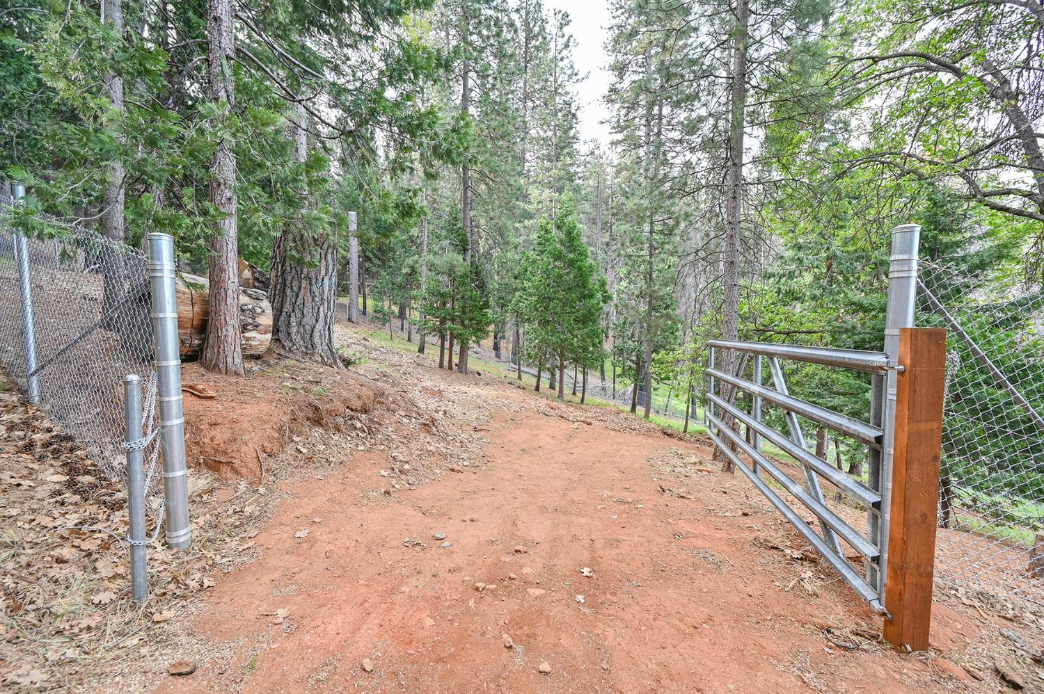 Land in Grizzly Flats 4