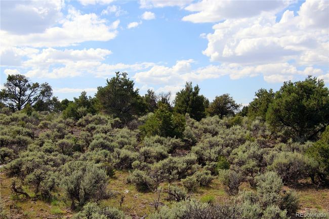 1 Mesa Drive East, Home with 0 bedrooms, 0 bathrooms and null parking in San Luis CO | Image 34