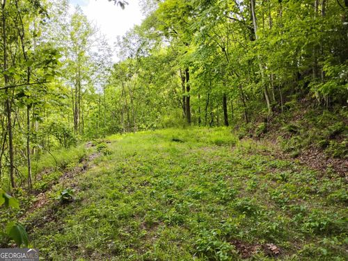 19-0 Highland Gap Rd, Scaly Mountain, NC, 28775 | Card Image