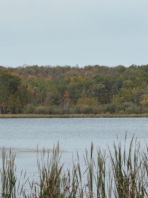 TBD Minerva Lake Rd, Shevlin, MN, 56676 | Card Image