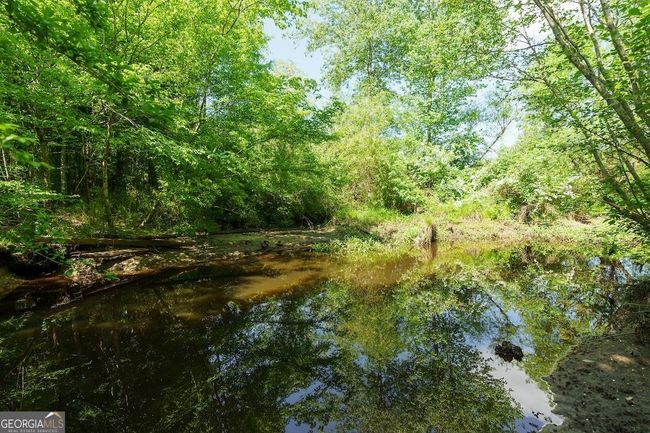 6053 Sun Hill Grange Rd, Home with 0 bedrooms, 0 bathrooms and null parking in Davisboro GA | Image 93