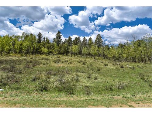 130 Rock Dr, Guffey, CO, 80820 | Card Image