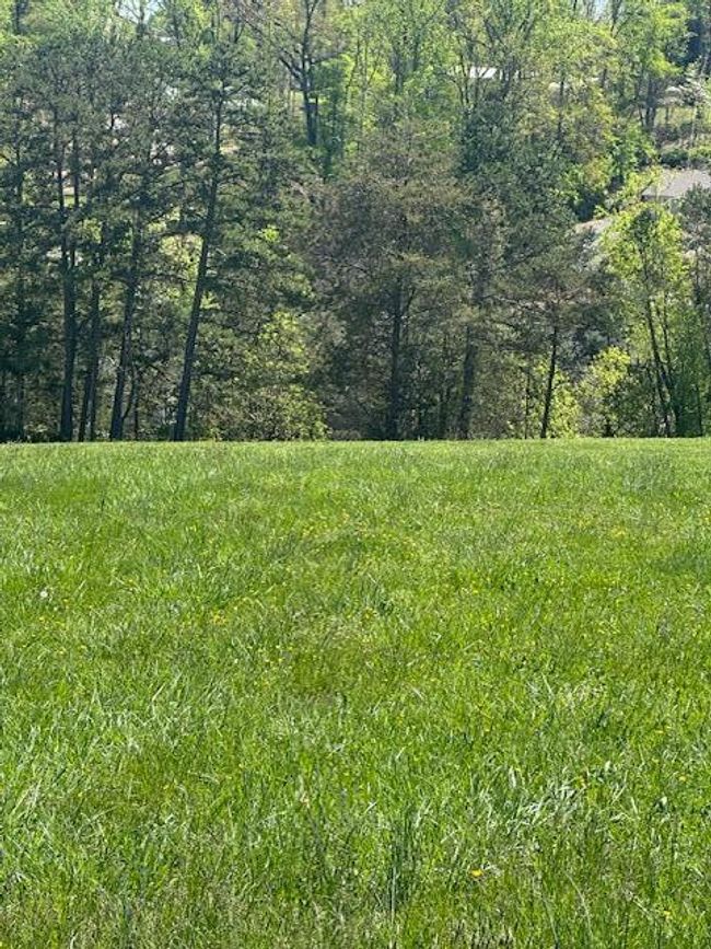 104 Shoreline Vis, Home with 0 bedrooms, 0 bathrooms and null parking in Morristown TN | Image 9