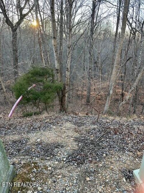 124 Old Hearth Dr, La Follette, TN, 37766 | Card Image