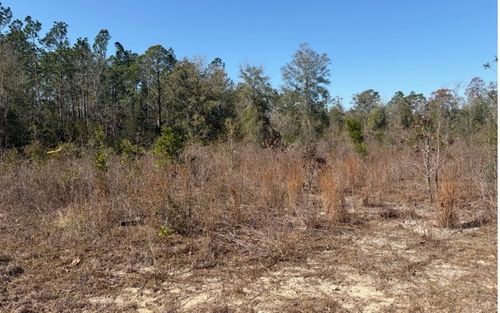 TBD 103rd Dr, O Brien, FL, 32071 | Card Image