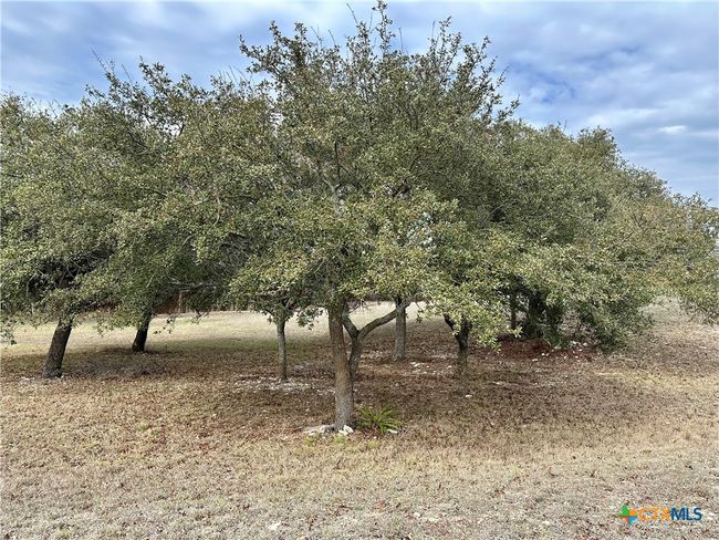 24 Andy's Pt Point, Home with 0 bedrooms, 0 bathrooms and null parking in Burnet TX | Image 8