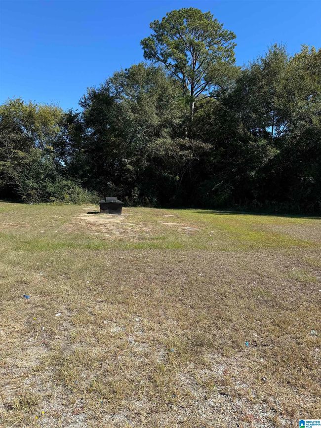 1 - 00 Main St, Home with 0 bedrooms, 0 bathrooms and null parking in Brent AL | Image 9