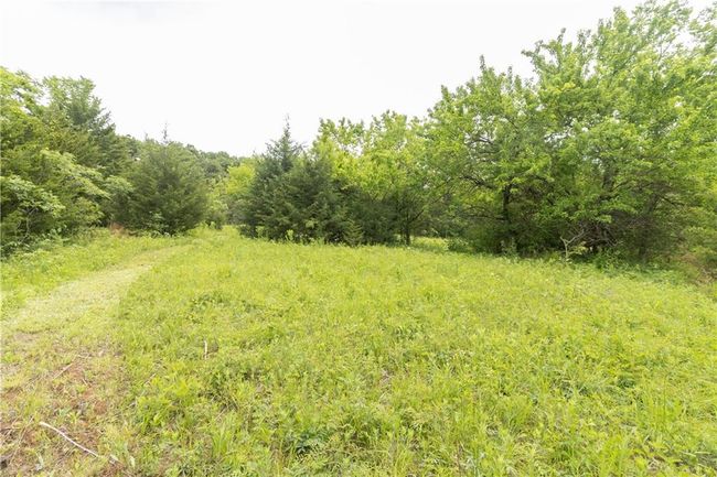 View of local wilderness | Image 21