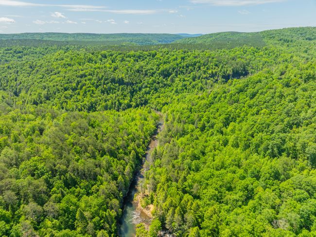 0 Echo Point Rd, Home with 0 bedrooms, 0 bathrooms and null parking in Dunlap TN | Image 26