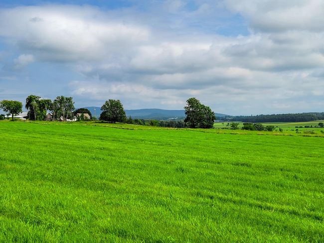 3 - 1545 Middle Road, Home with 0 bedrooms, 0 bathrooms and null parking in Bridport VT | Image 4