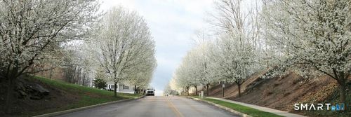 152-152 Briar Ln, Norwich, CT, 06360-7402 | Card Image