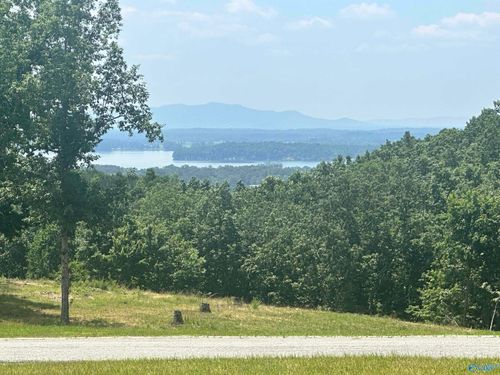 228-Lot 228 County Road 767, Cedar Bluff, AL, 35959-3211 | Card Image