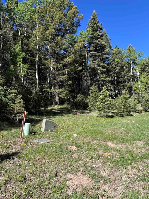 160 Back Basin Rd, Angel Fire, NM, 87710-8016 | Card Image
