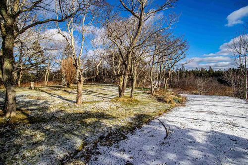 2022A Peajack Rd, Westport, NS, B0V1H0 | Card Image