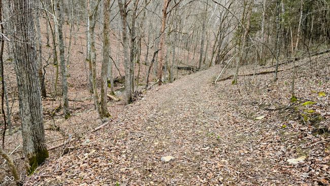 5900 S County Road 700 E, Home with 0 bedrooms, 0 bathrooms and null parking in Dillsboro IN | Image 19