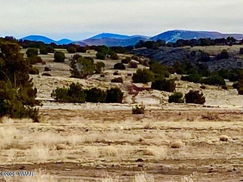 TBD Co Rd 5201 1.22 Acres, Concho, AZ, 85924 | Card Image