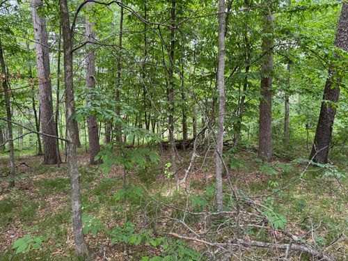 TBD White Overlook Dr, Pequot Lakes, MN, 56472 | Card Image