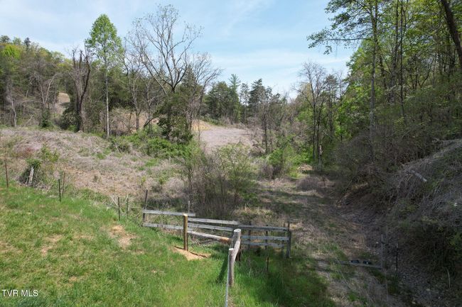 0 Coy Bradley Ln, Home with 0 bedrooms, 0 bathrooms and null parking in Bulls Gap TN | Image 22