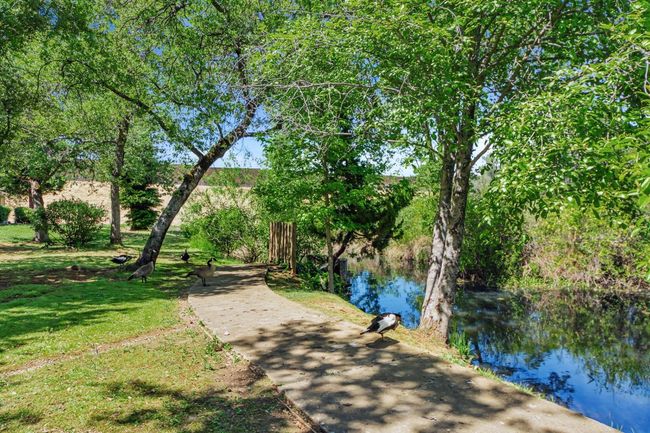APT-88 - 13017 Lincoln Way, Condo with 2 bedrooms, 2 bathrooms and null parking in Auburn CA | Image 38